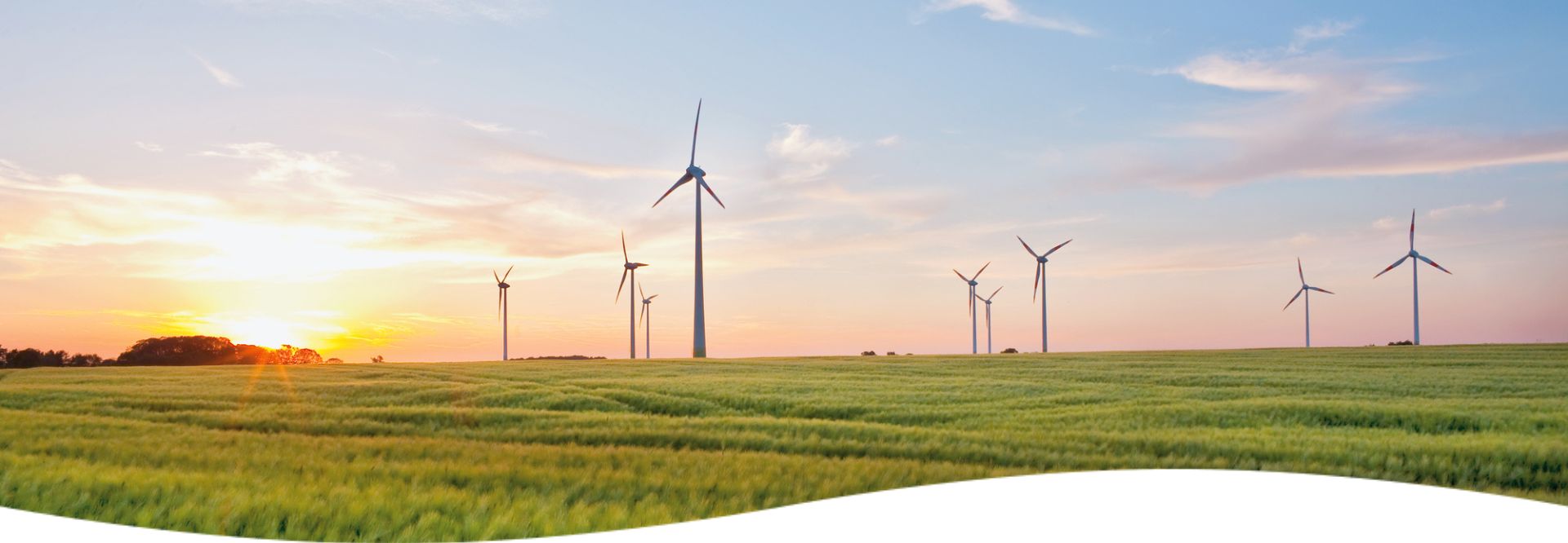 Cursos de sostenibilidad de TÜV Rheinland Cursos de sostenibilidad de TÜV Rheinland